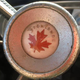 Illustration for article titled Canadian in Florida: NP or CP?